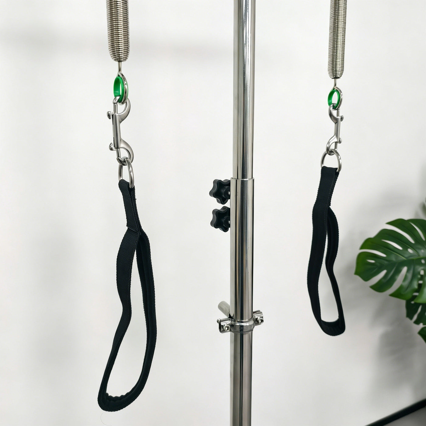 Pilates Pedi Pole — Posture & Balance Trainer